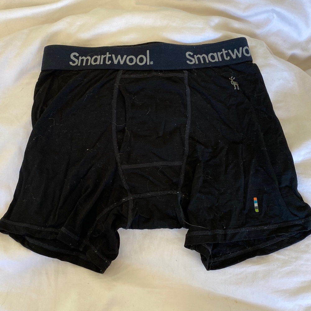 Smartwool Merino 250 boxer brief size S